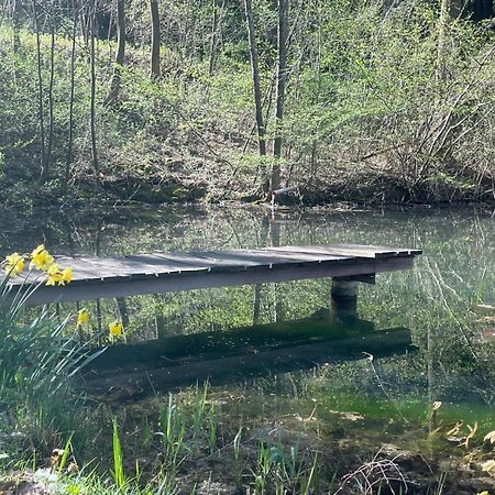 Ferienhaus Holzer Stressless Traisen Buitenkant foto
